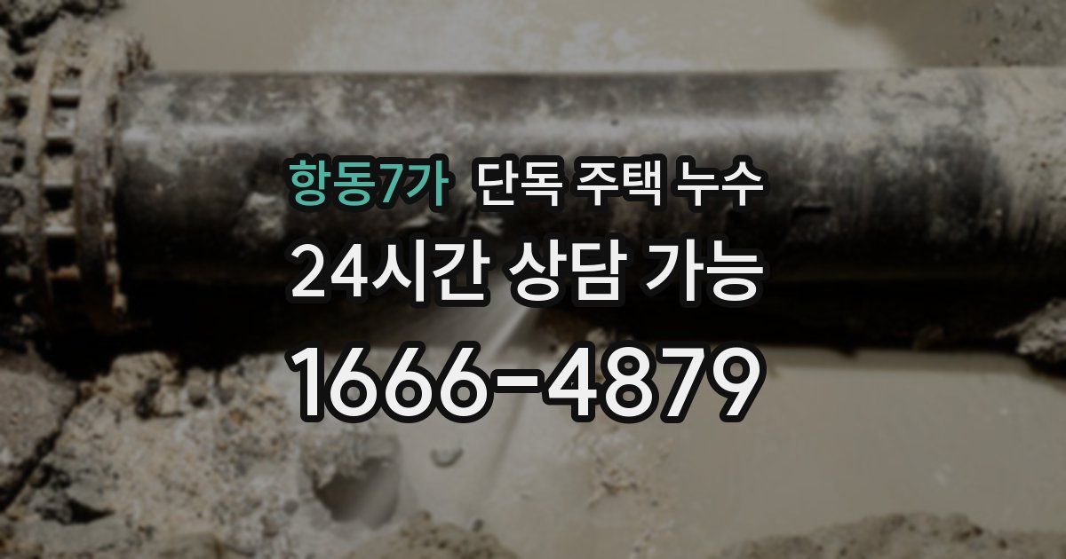항동7가 단독 주택 누수