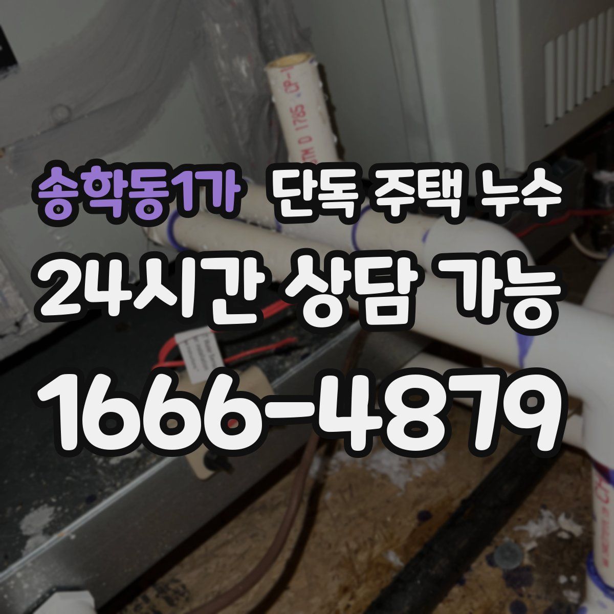 송학동1가 단독 주택 누수