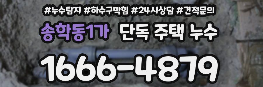 송학동1가 단독 주택 누수