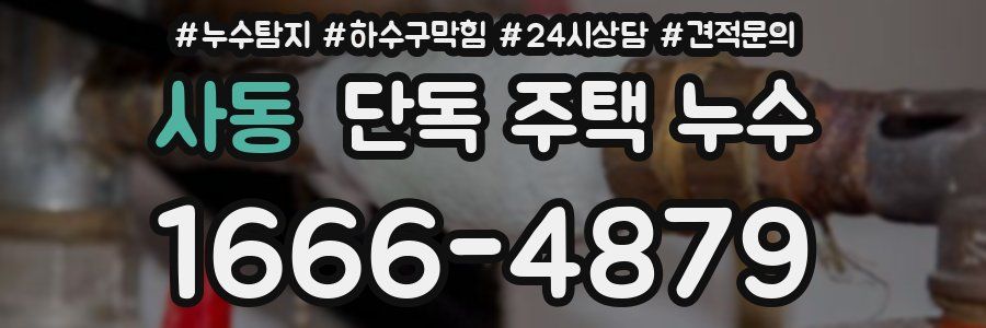 사동 단독 주택 누수