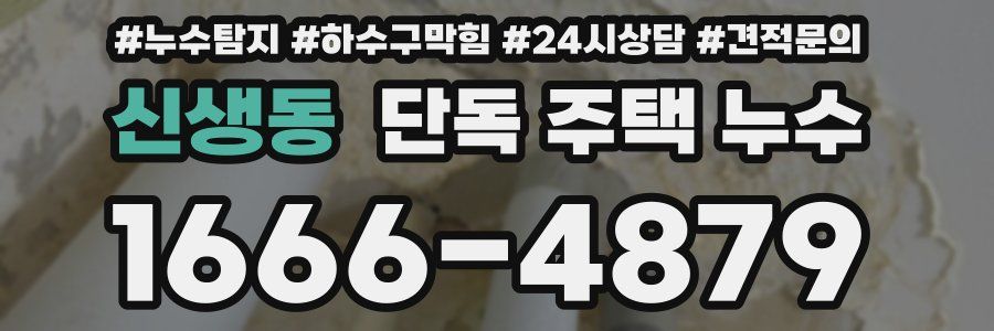 신생동 단독 주택 누수