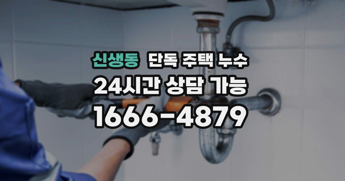 신생동 단독 주택 누수