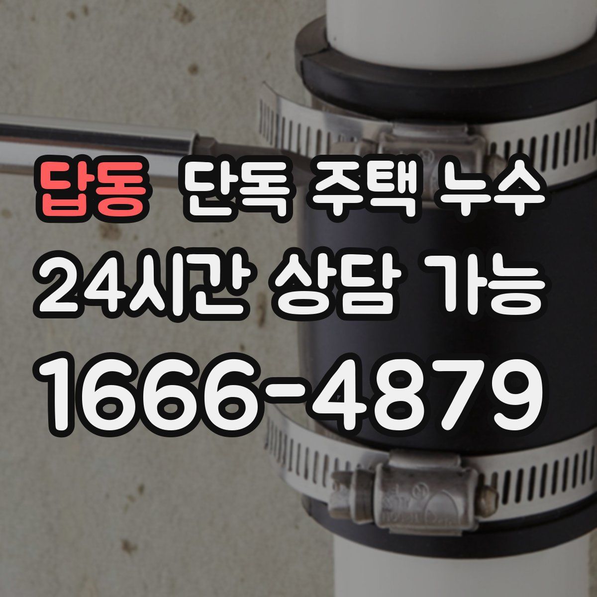 답동 단독 주택 누수