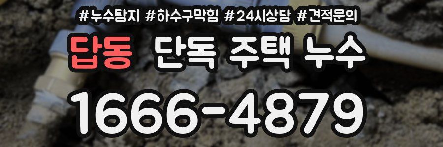 답동 단독 주택 누수