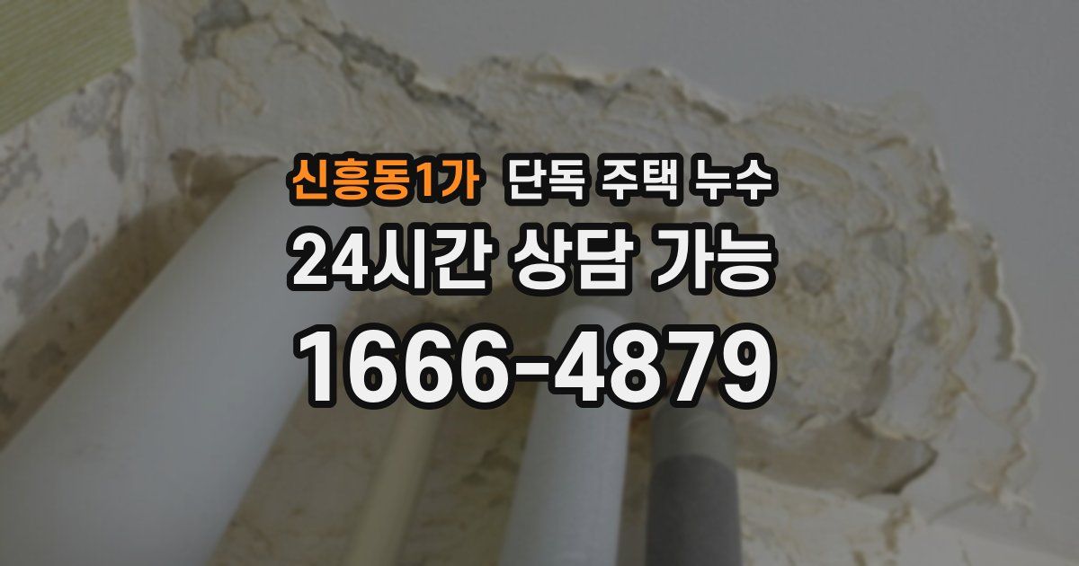 신흥동1가 단독 주택 누수
