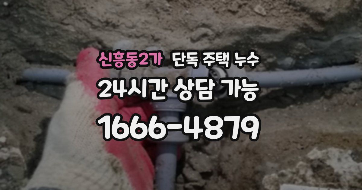 신흥동2가 단독 주택 누수
