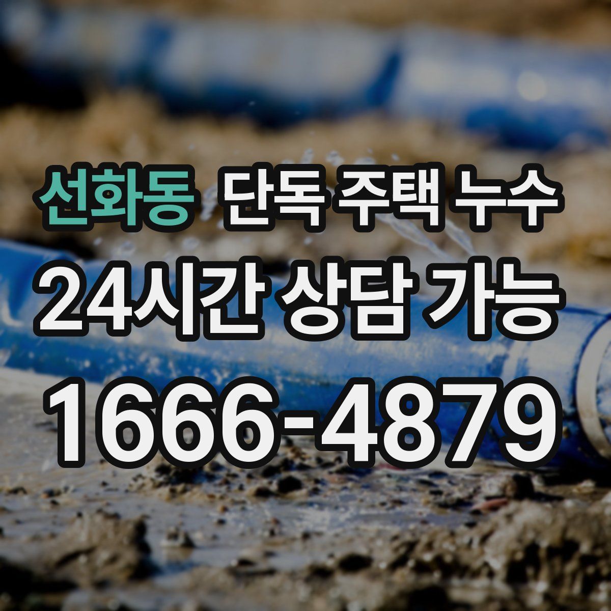 선화동 단독 주택 누수