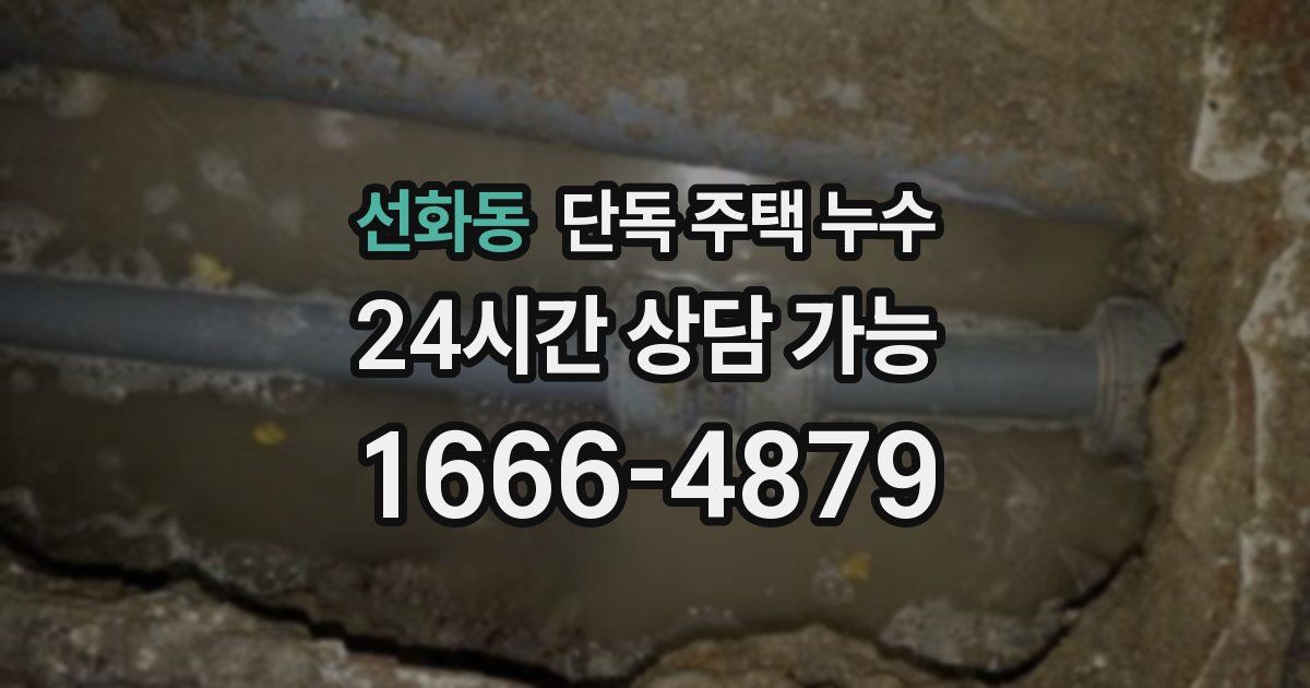 선화동 단독 주택 누수