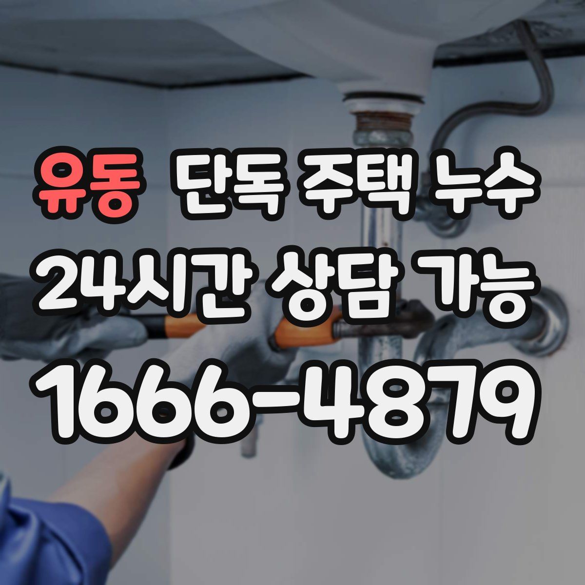 유동 단독 주택 누수