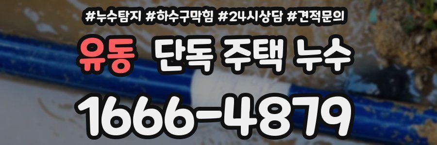 유동 단독 주택 누수