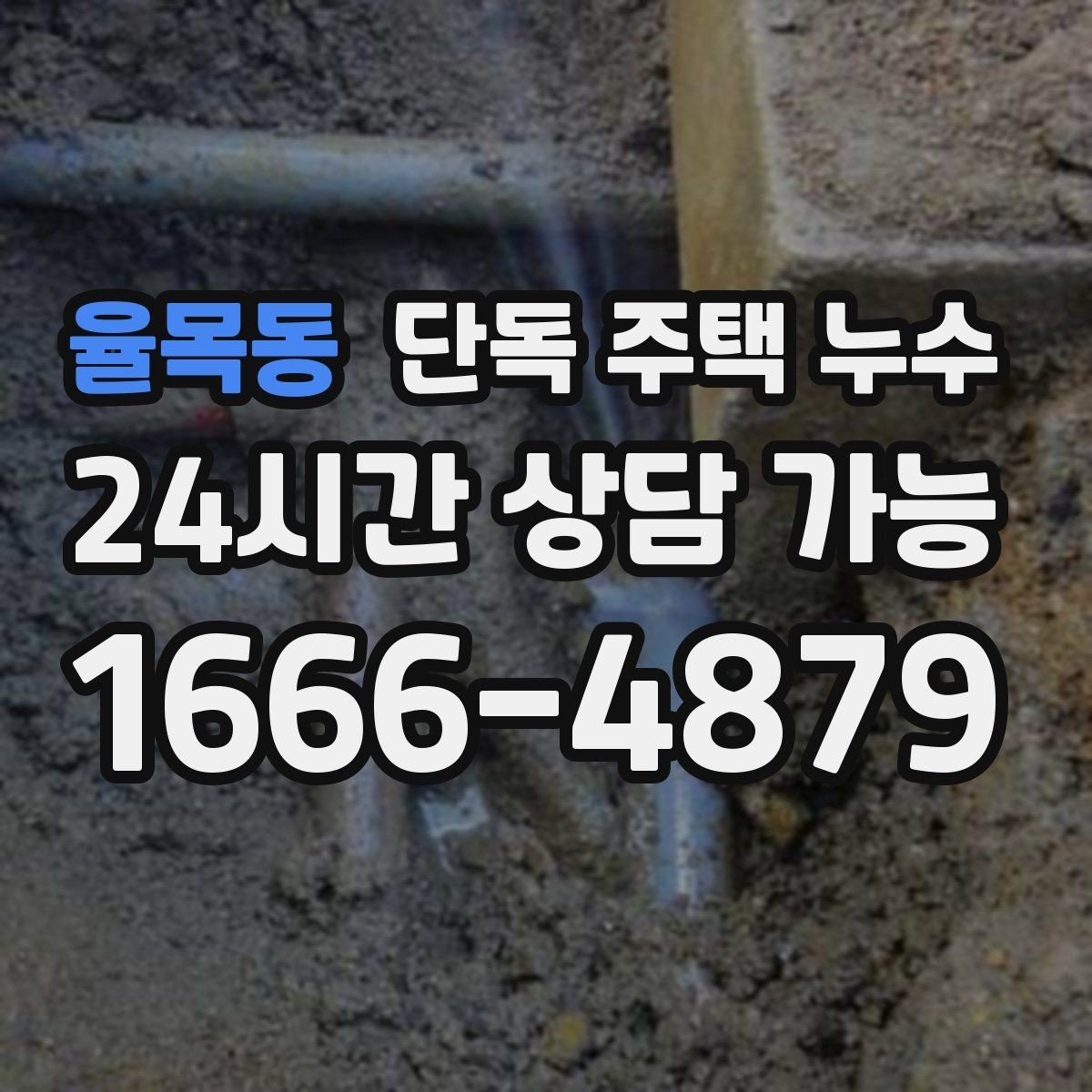 율목동 단독 주택 누수 외벽 쪽 방이 더 축축한 이유