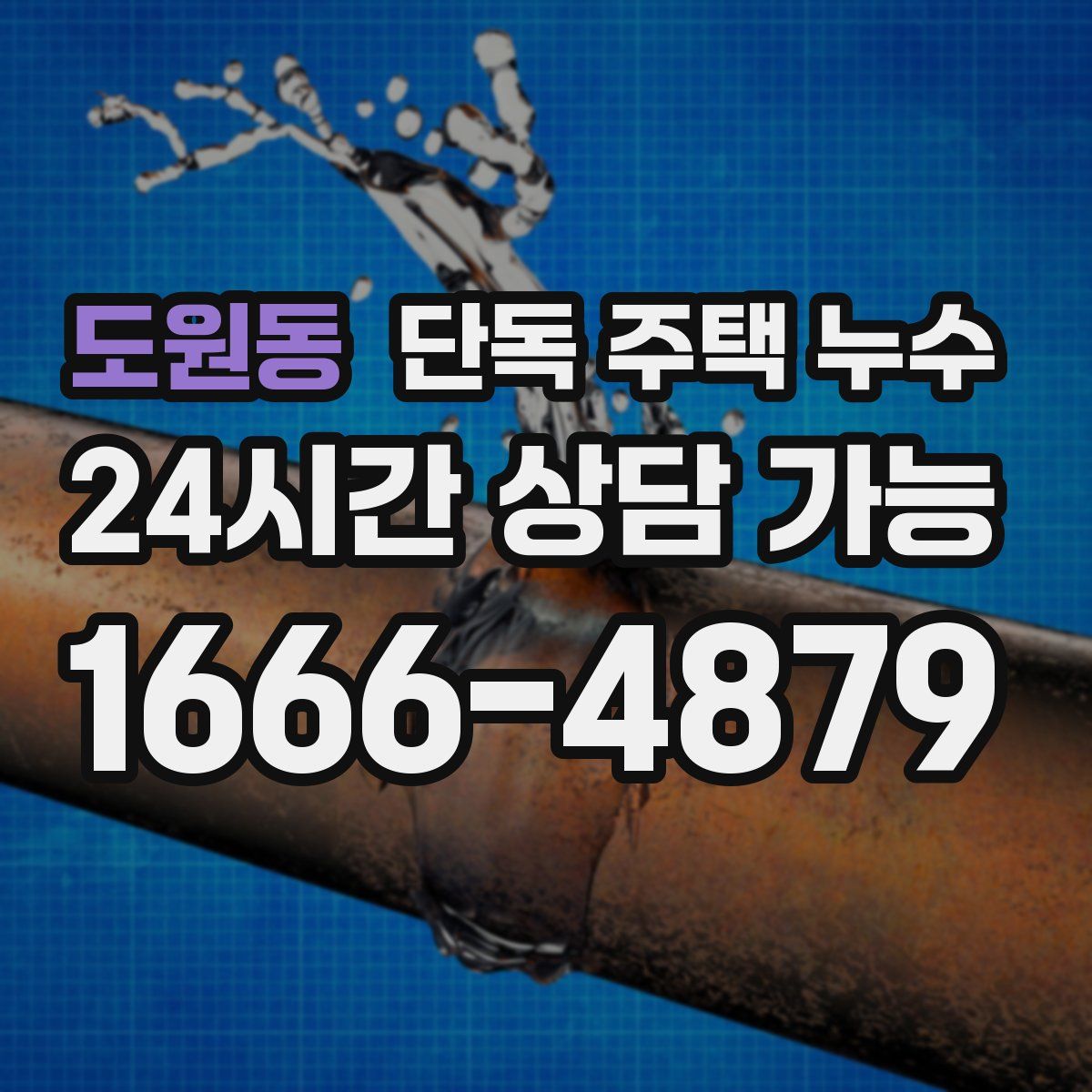 도원동 단독 주택 누수