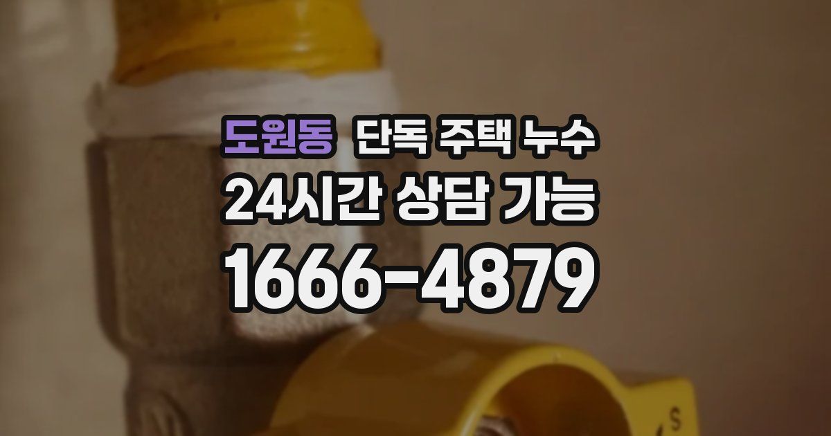 도원동 단독 주택 누수