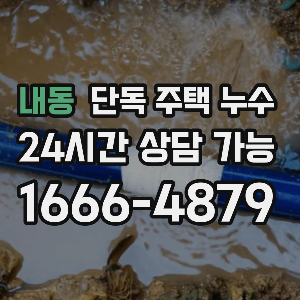 내동 단독 주택 누수