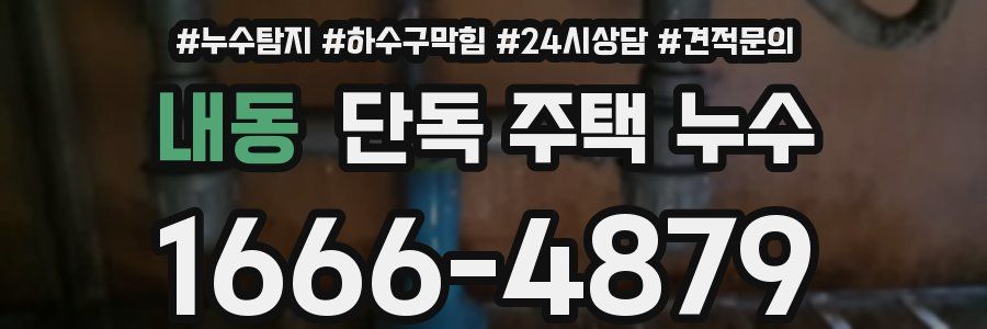내동 단독 주택 누수