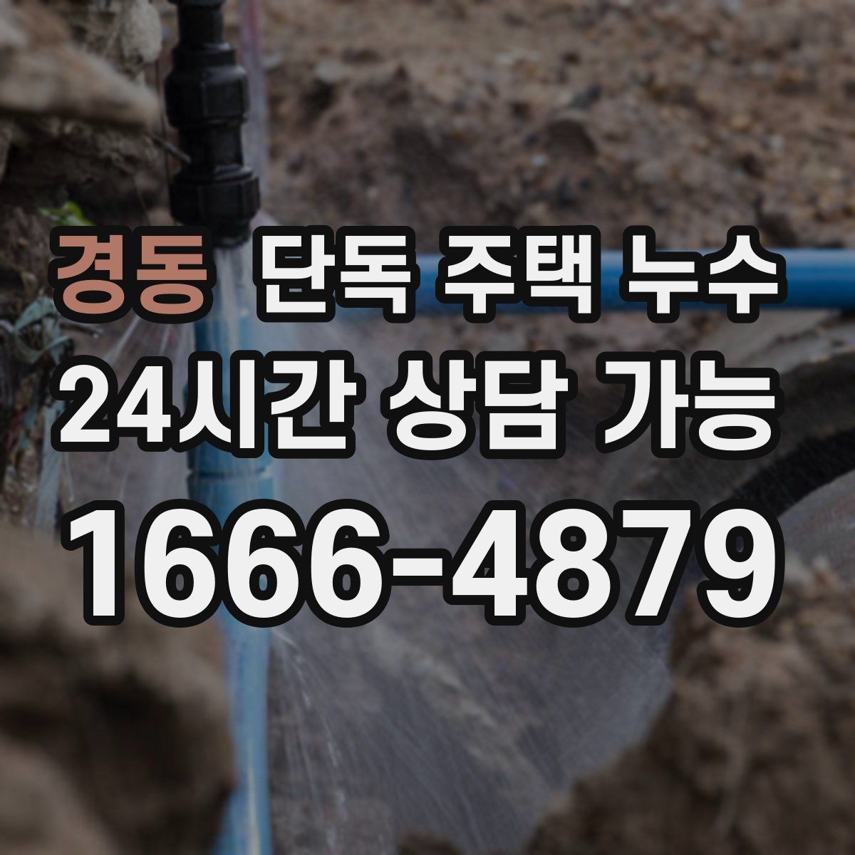 경동 단독 주택 누수