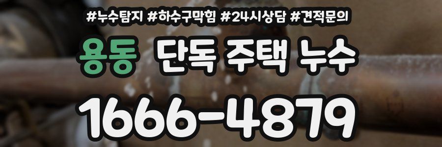 용동 단독 주택 누수