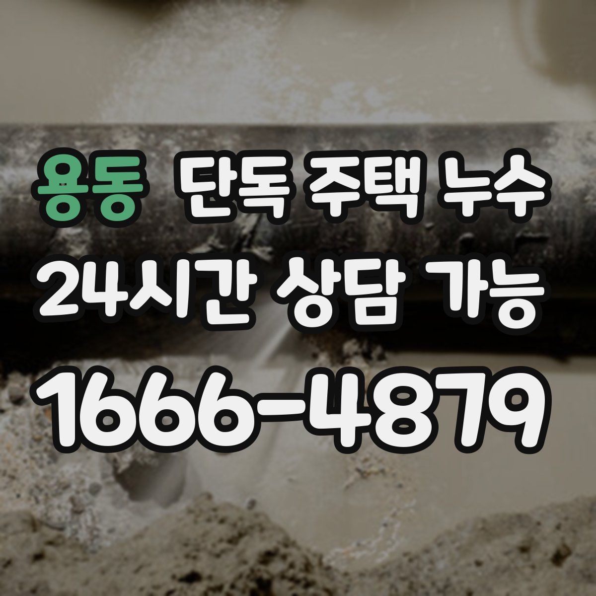 용동 단독 주택 누수