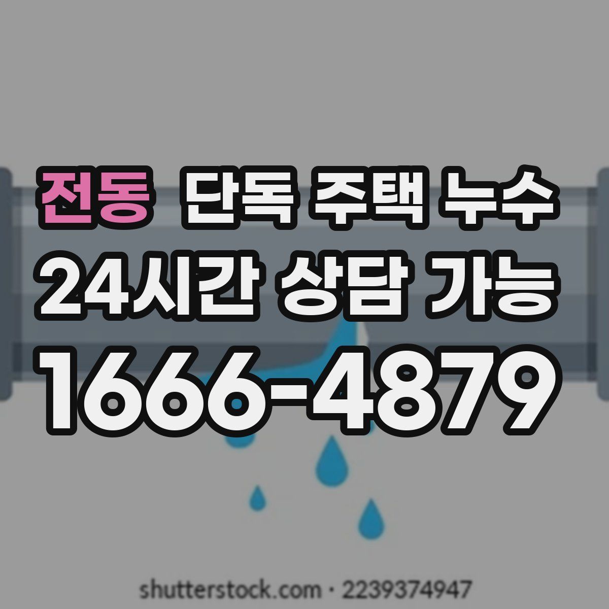전동 단독 주택 누수