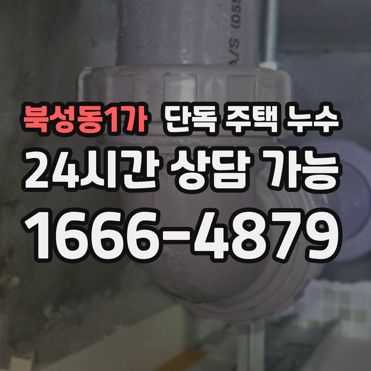 북성동1가 단독 주택 누수