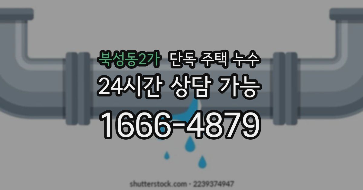 북성동2가 단독 주택 누수