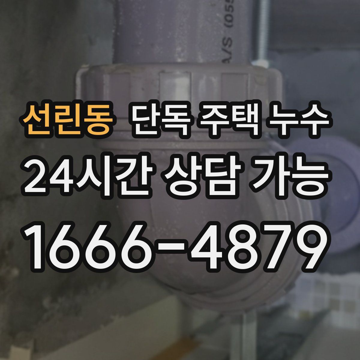 선린동 단독 주택 누수