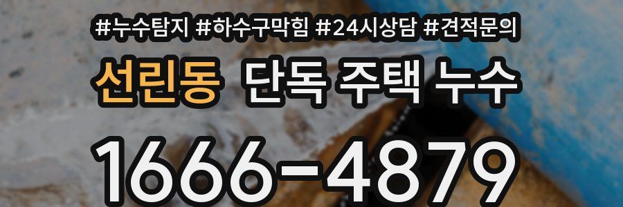 선린동 단독 주택 누수