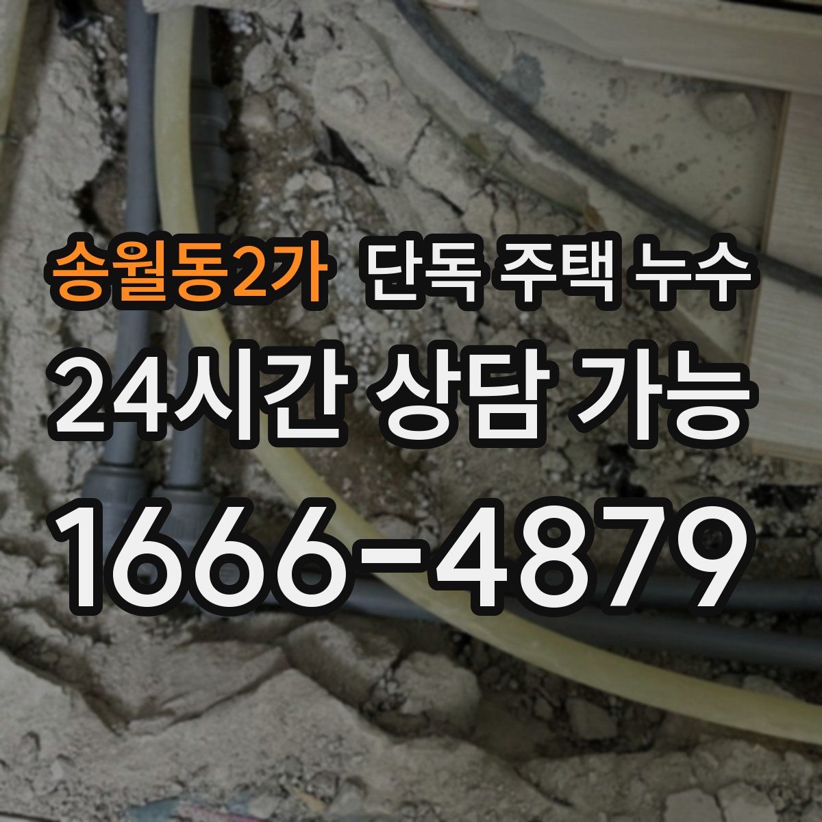 송월동2가 단독 주택 누수