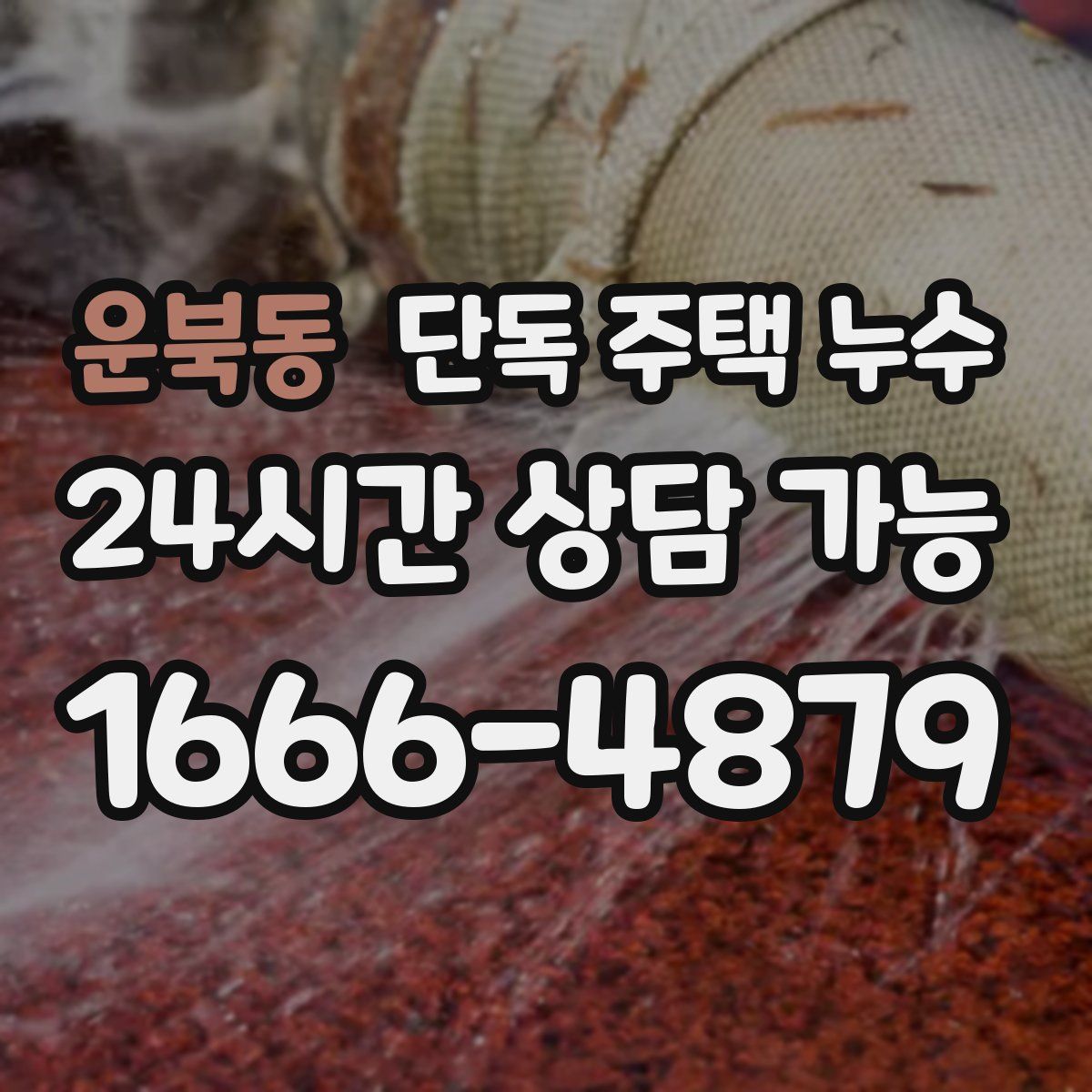 운북동 단독 주택 누수