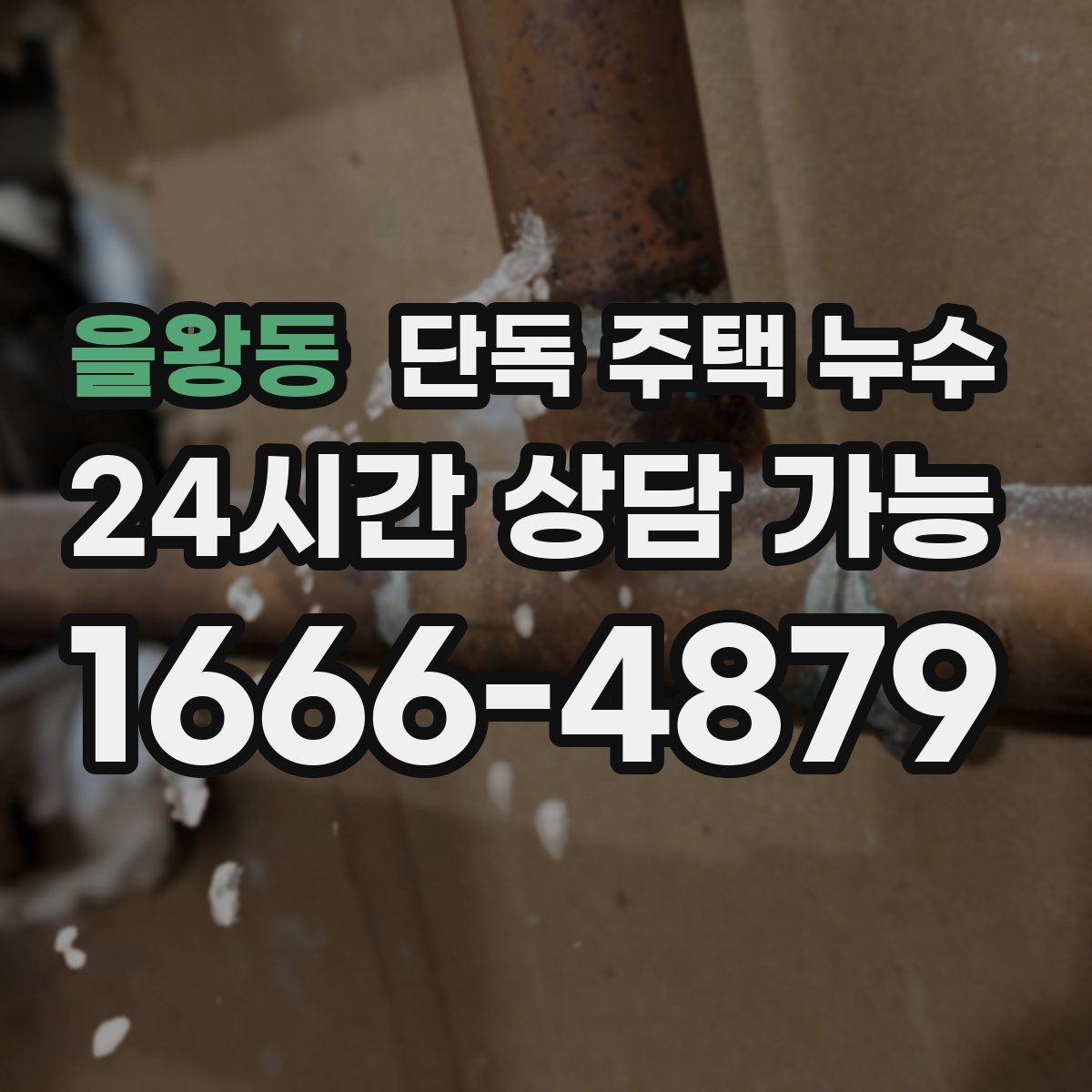 을왕동 단독 주택 누수 지하가 없는 집에서도 역류성 습기가 생기는 이유