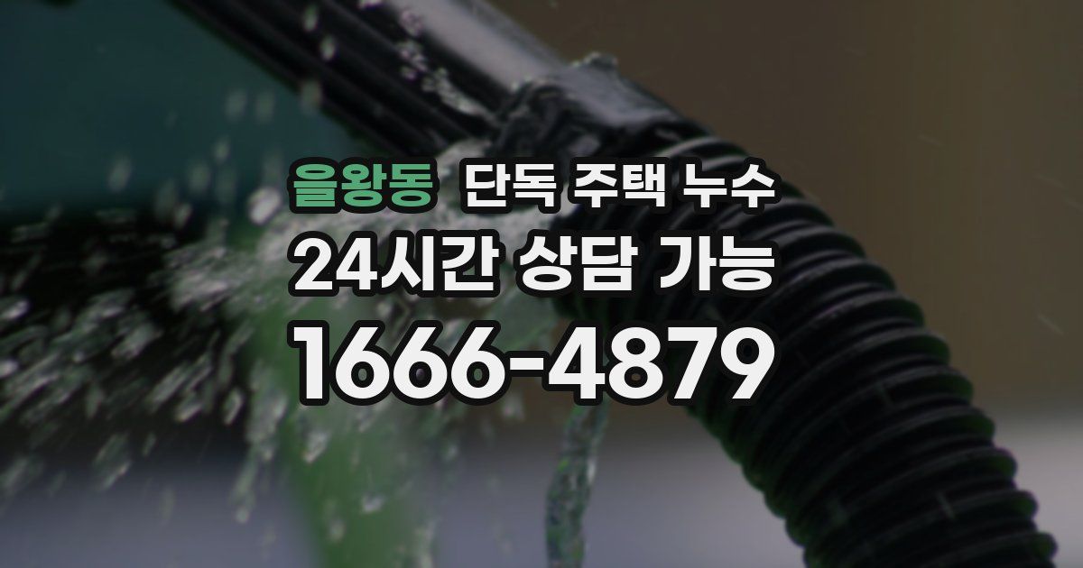 을왕동 단독 주택 누수