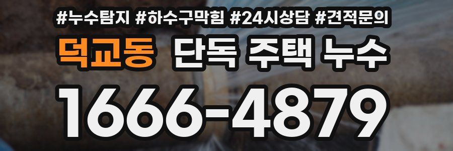 덕교동 단독 주택 누수