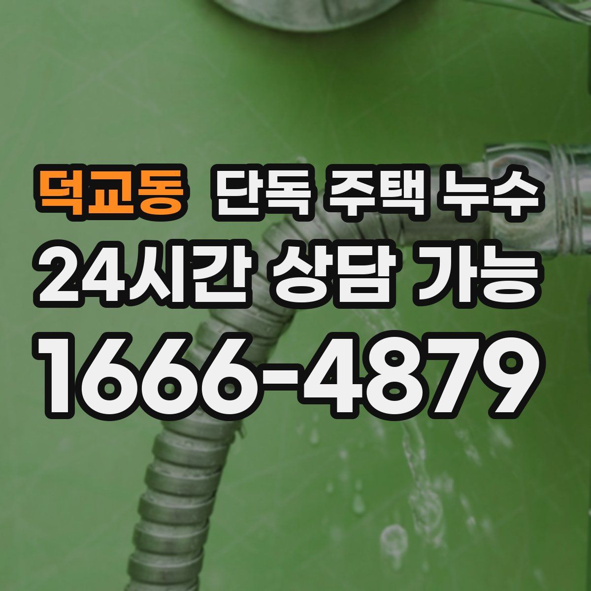 덕교동 단독 주택 누수