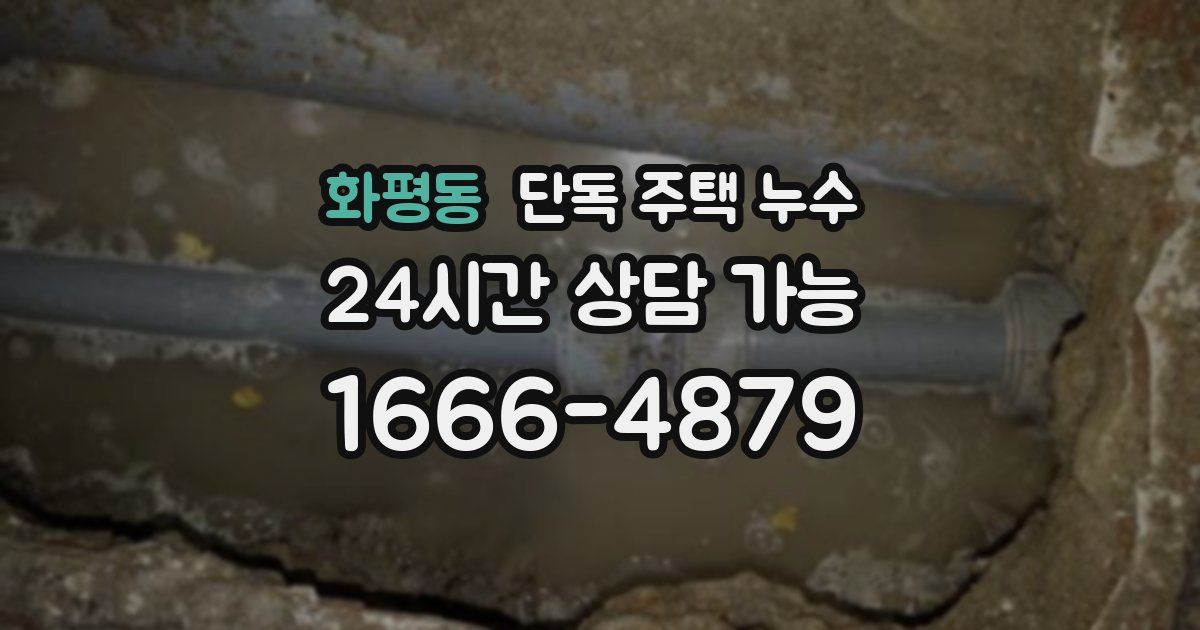 화평동 단독 주택 누수