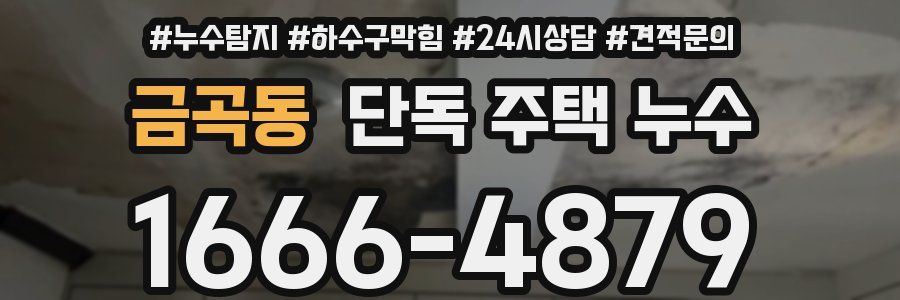 금곡동 단독 주택 누수