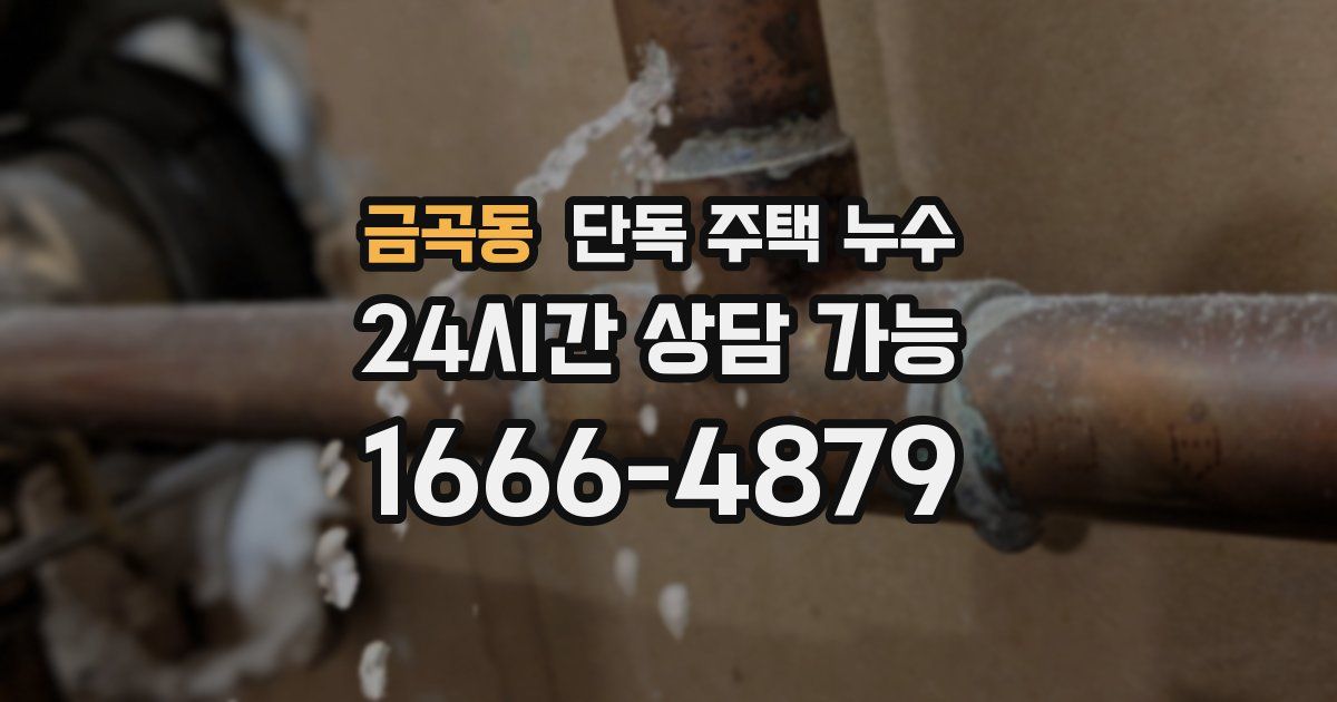 금곡동 단독 주택 누수