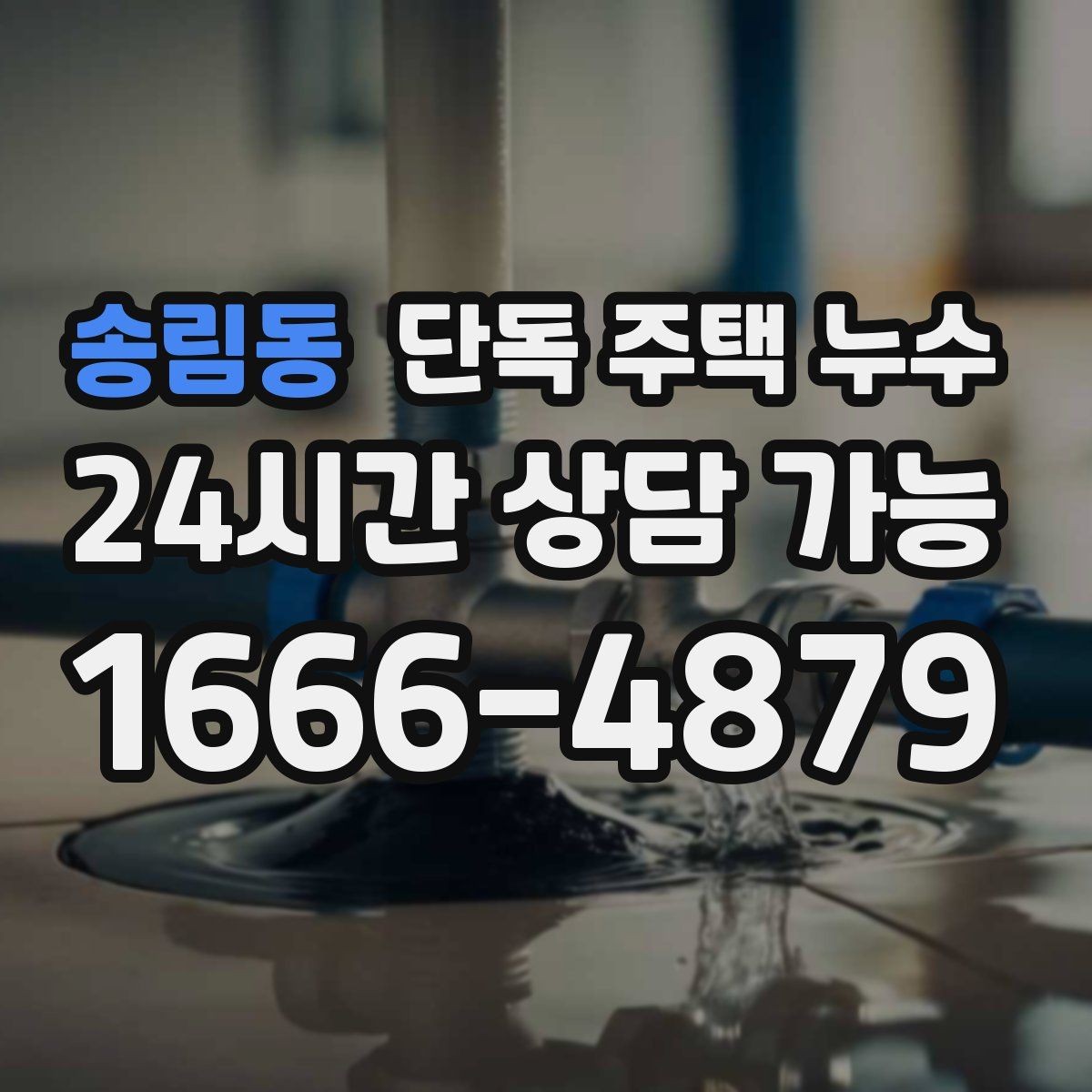 송림동 단독 주택 누수 곰팡이만 생기고 물자국은 없을 때