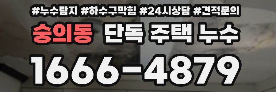 숭의동 단독 주택 누수