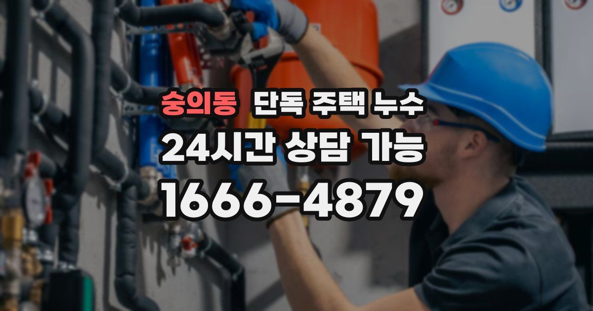 숭의동 단독 주택 누수