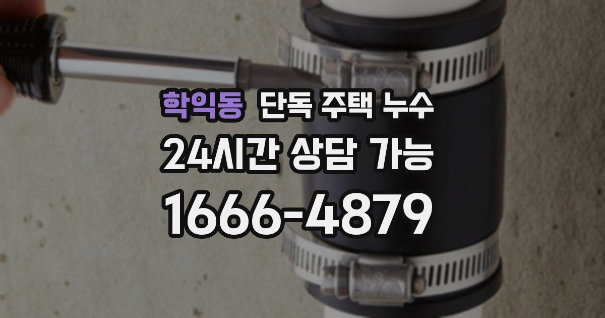 학익동 단독 주택 누수