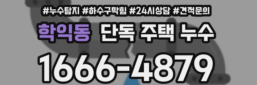 학익동 단독 주택 누수