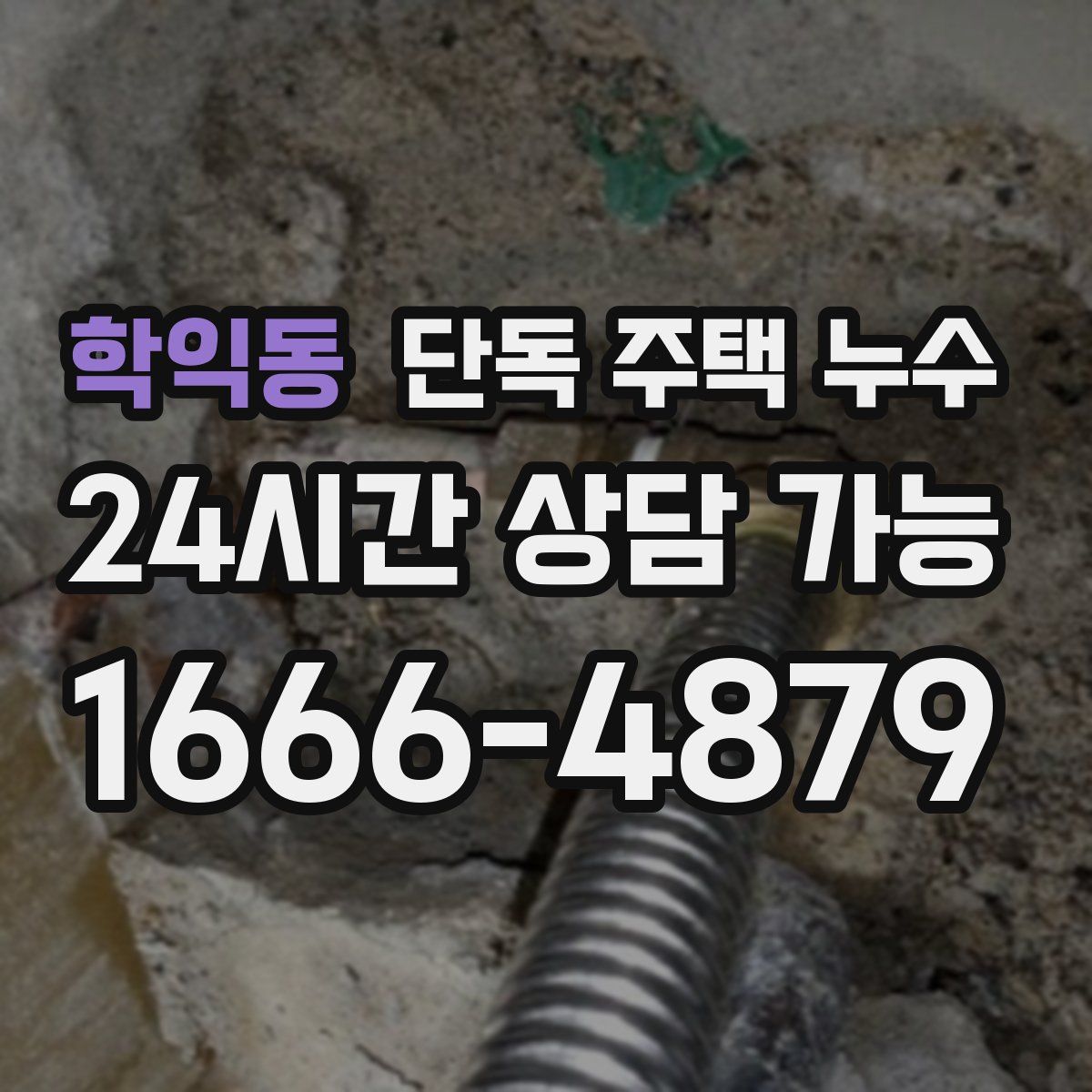 학익동 단독 주택 누수