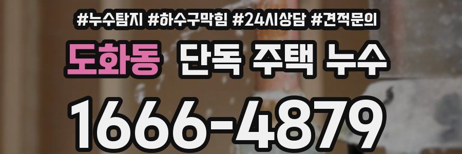 도화동 단독 주택 누수