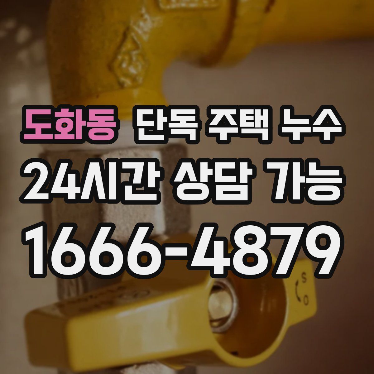 도화동 단독 주택 누수