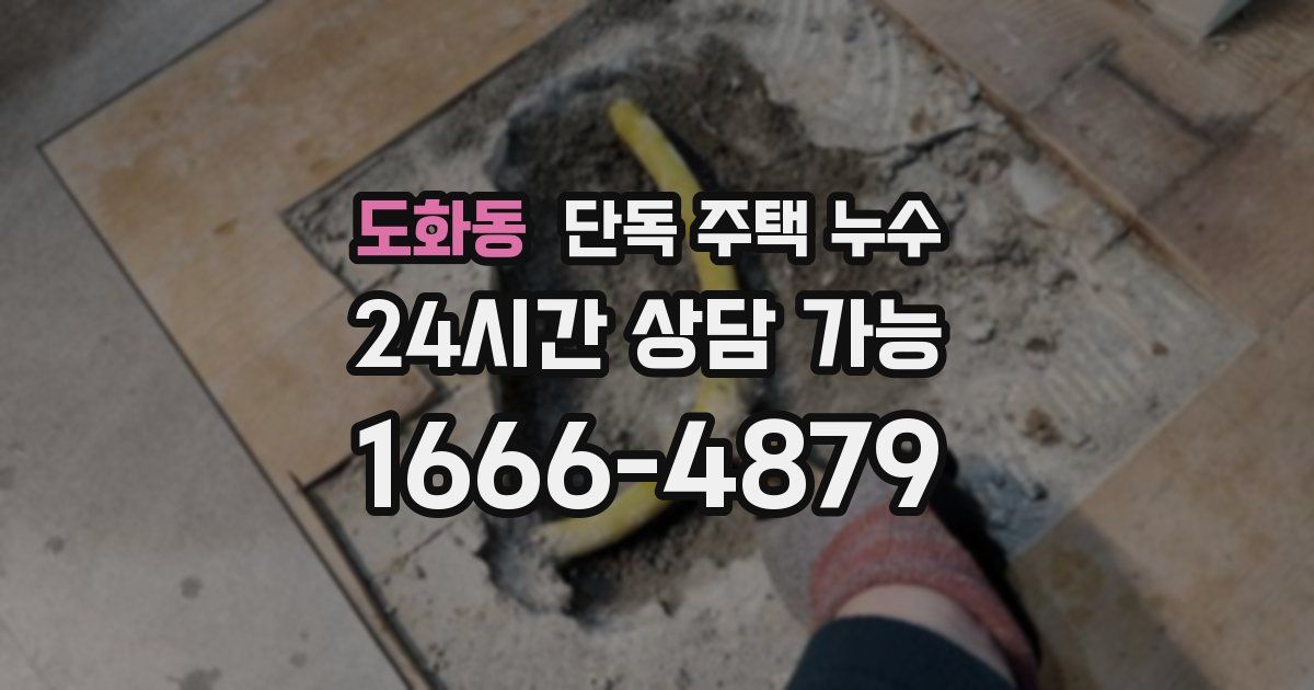 도화동 단독 주택 누수