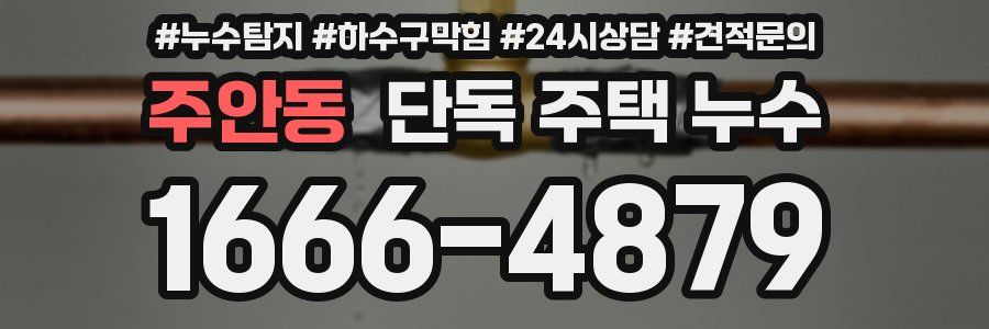 주안동 단독 주택 누수