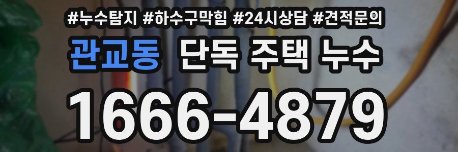 관교동 단독 주택 누수