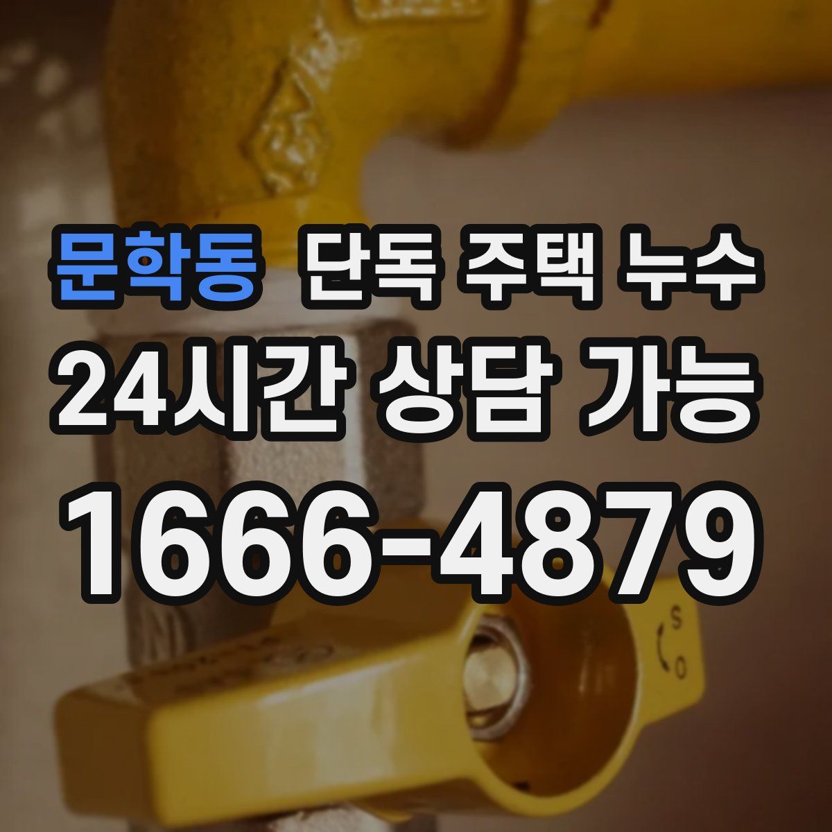 문학동 단독 주택 누수