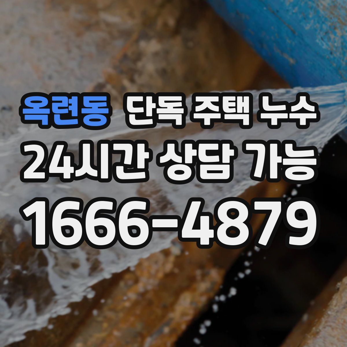 옥련동 단독 주택 누수