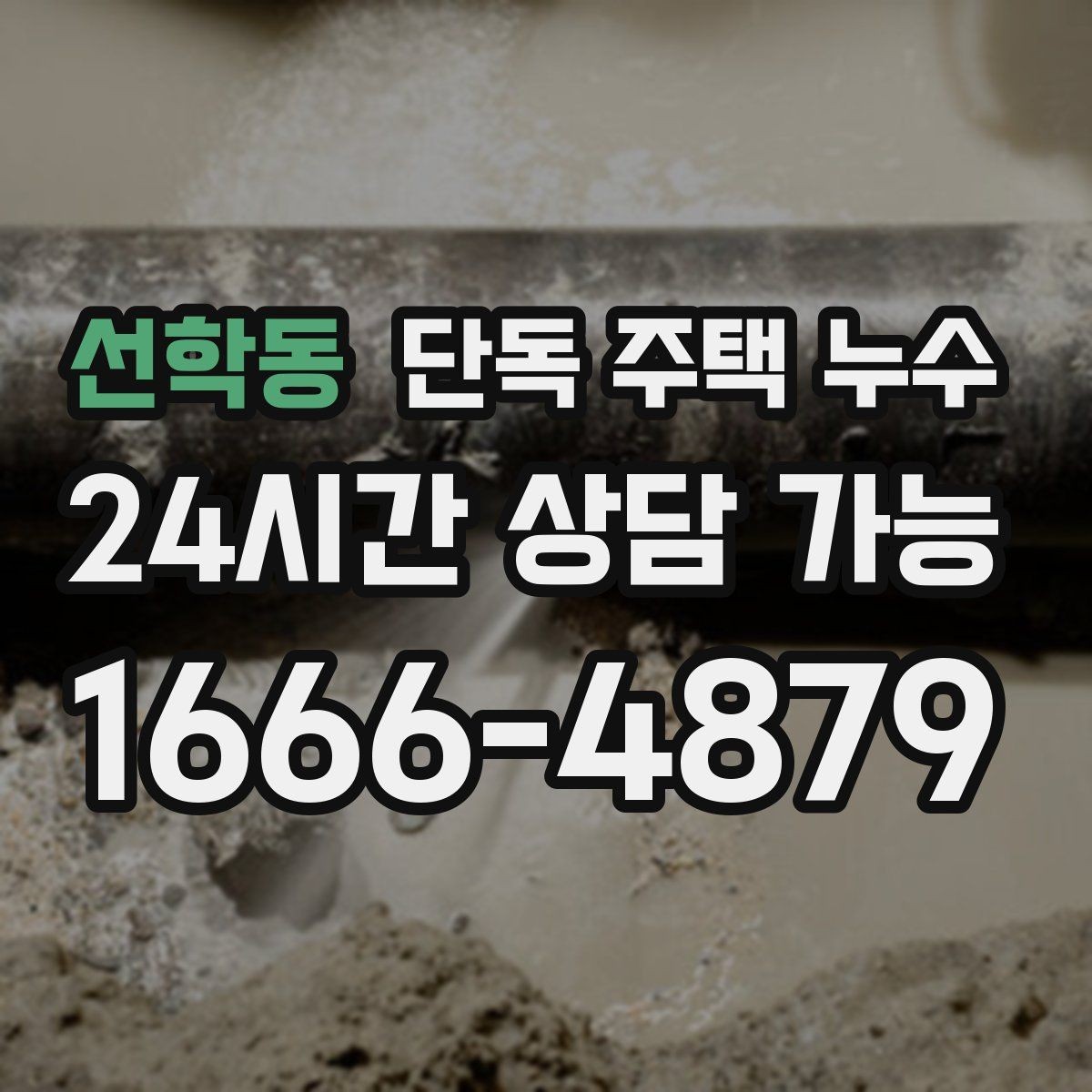 선학동 단독 주택 누수 지붕 이음새에서 물이 들어오는 경우